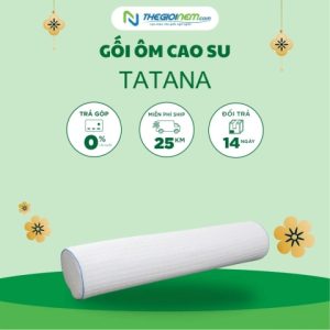 Gối ôm cao su TATANA
