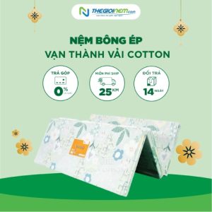 Nệm bông ép Vạn Thành vải Cotton
