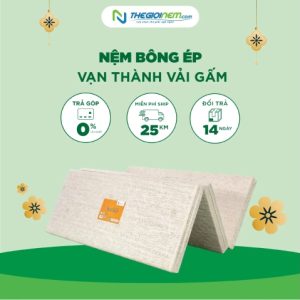 Nệm bông ép Vạn Thành vải Gấm