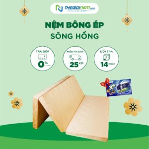 Nệm bông Sông Hồng tinh khiết vải gấm