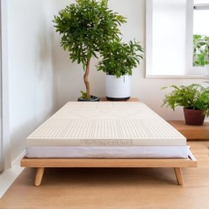 Nệm cao su thiên nhiên Kim Cương Purelux-3’Zone