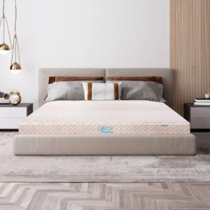 Nệm cao su thiên nhiên Liên Á Five Zone Premium