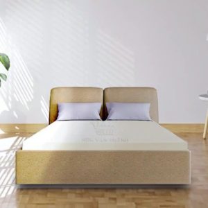 Nệm cao su Vạn Thành Standard