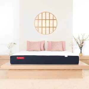 Nệm Foam Nhật Bản OYASUMI Original