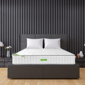 Nệm lò xo TATANA Dona